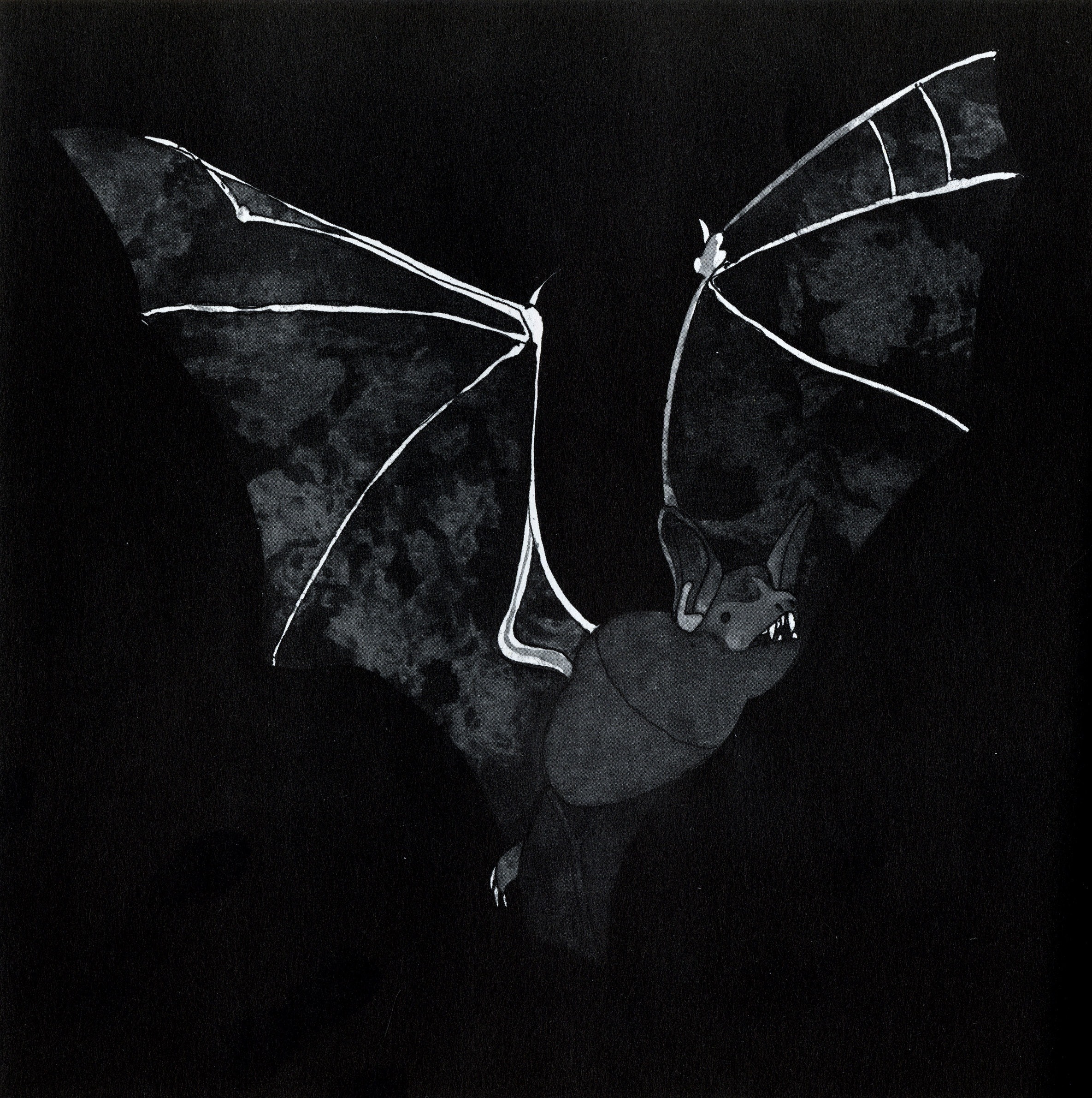Bat